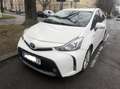 Toyota Prius+ 1,8 VVT-i Hybrid Business - thumbnail 2