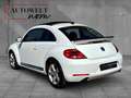 Volkswagen Beetle 2.0 TSI /PANO/PDC/NAVI/TEMPOMAT Weiß - thumbnail 5