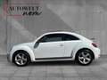 Volkswagen Beetle 2.0 TSI /PANO/PDC/NAVI/TEMPOMAT Weiß - thumbnail 3