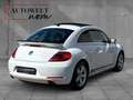 Volkswagen Beetle 2.0 TSI /PANO/PDC/NAVI/TEMPOMAT Weiß - thumbnail 9