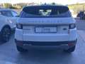 Land Rover Range Rover Evoque Range Rover Evoque 2.0 eD4 5p. Urban Attitude Edi Weiß - thumbnail 5