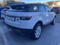 Land Rover Range Rover Evoque Range Rover Evoque 2.0 eD4 5p. Urban Attitude Edi Weiß - thumbnail 4