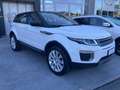 Land Rover Range Rover Evoque Range Rover Evoque 2.0 eD4 5p. Urban Attitude Edi Weiß - thumbnail 6