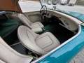 Austin-Healey 3000 MK1 - BN7 Verde - thumbnail 6
