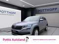 Skoda Kodiaq 2.0 TSI DSG 4x4 STYLE PANO PDC KAMERA NAV Grau - thumbnail 1