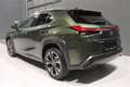 Lexus UX 250h BUSINESS LINE HYBRIDE Verde - thumbnail 4