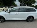 Skoda Octavia Combi L&K 4x4 Aut Navi Panorama AHK Weiß - thumbnail 7