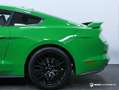 Ford Mustang Mustang Fastback V8 5.0 BVA10 GT Grün - thumbnail 12
