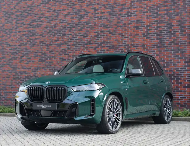 BMW X5 view 16