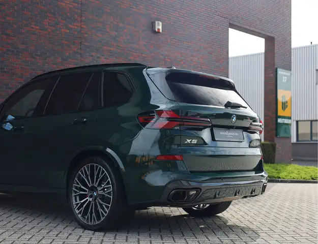 BMW X5 view 10