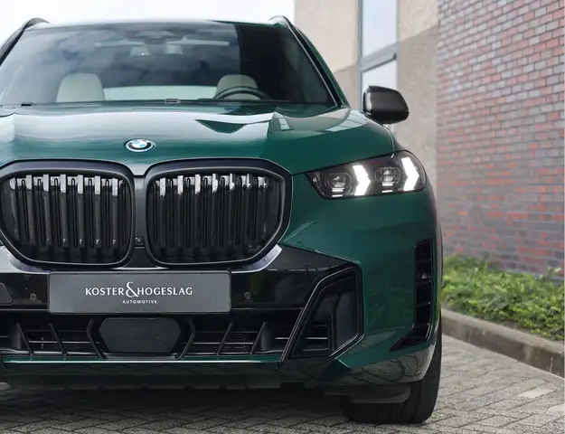 BMW X5 view 12