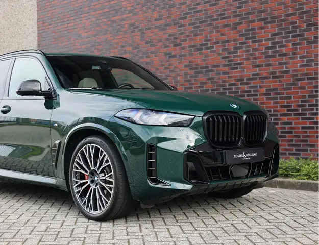 BMW X5 view 18
