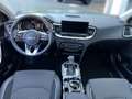 Kia XCeed 1.6 Plug-in Hybrid DCT6 Spirit Grün - thumbnail 12