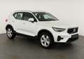 Volvo XC40 Core 2WD B3 Mild-Hybrid Core, AHK, Navi, LED, W... Weiß - thumbnail 1
