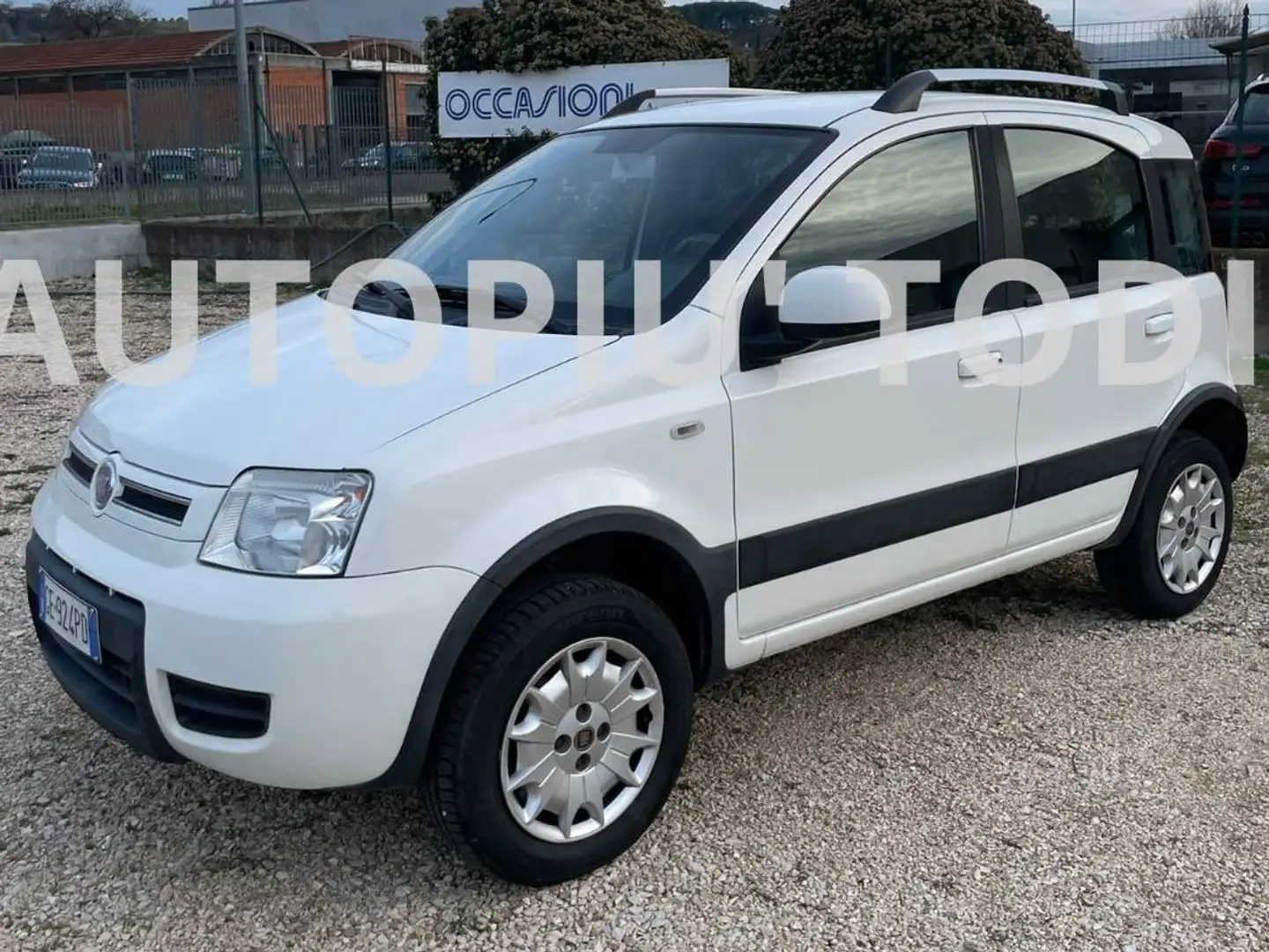 Fiat Panda Panda 1.2 Climbing 4x4 69cv E5 Bianco - 1