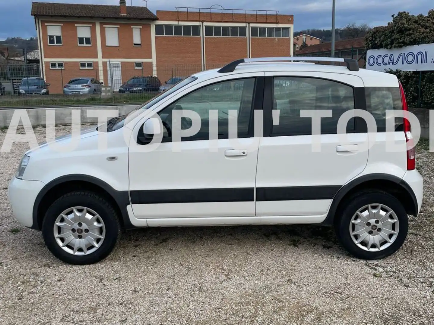 Fiat Panda Panda 1.2 Climbing 4x4 69cv E5 Bianco - 2