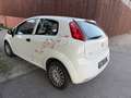 Fiat Punto 1.2 - thumbnail 4
