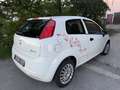 Fiat Punto 1.2 - thumbnail 2