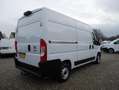 Fiat Ducato 2.3 MultiJet 140PK, L2H2, Airco Blanc - thumbnail 3