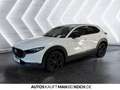 Mazda CX-30 2.5L e-SKY-G 140ps 6AT Nagisa HUD PDC SHZ NA Grau - thumbnail 3