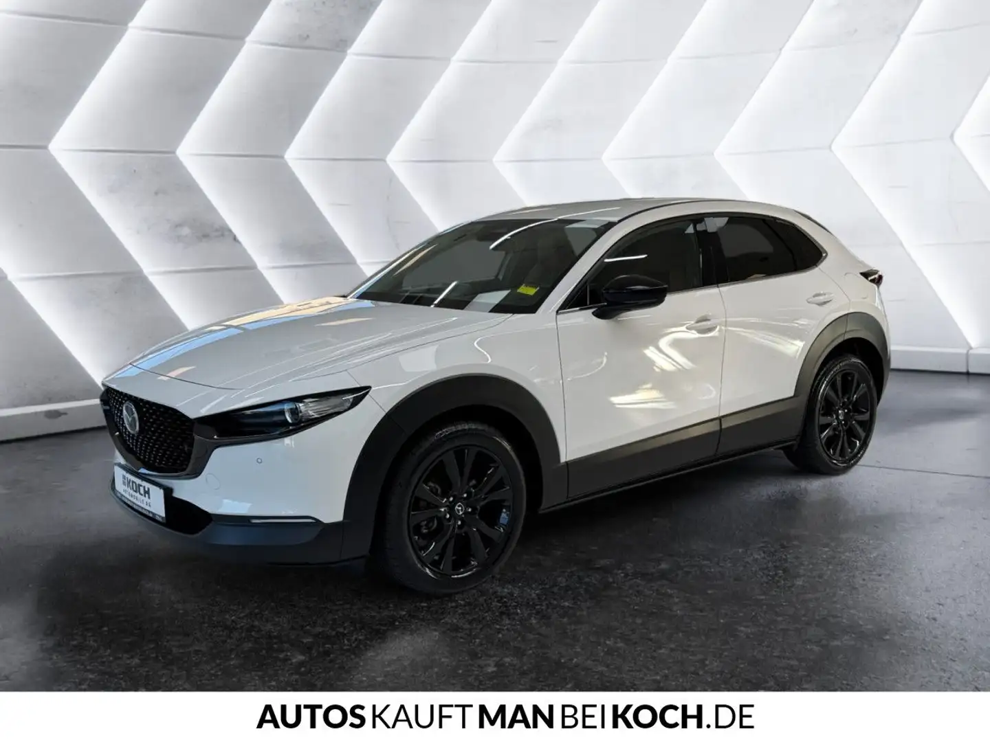 Mazda CX-30 2.5L e-SKY-G 140ps 6AT Nagisa HUD PDC SHZ NA Grau - 2