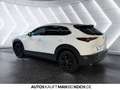 Mazda CX-30 2.5L e-SKY-G 140ps 6AT Nagisa HUD PDC SHZ NA Grau - thumbnail 4