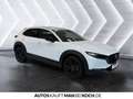 Mazda CX-30 2.5L e-SKY-G 140ps 6AT Nagisa HUD PDC SHZ NA Grau - thumbnail 6