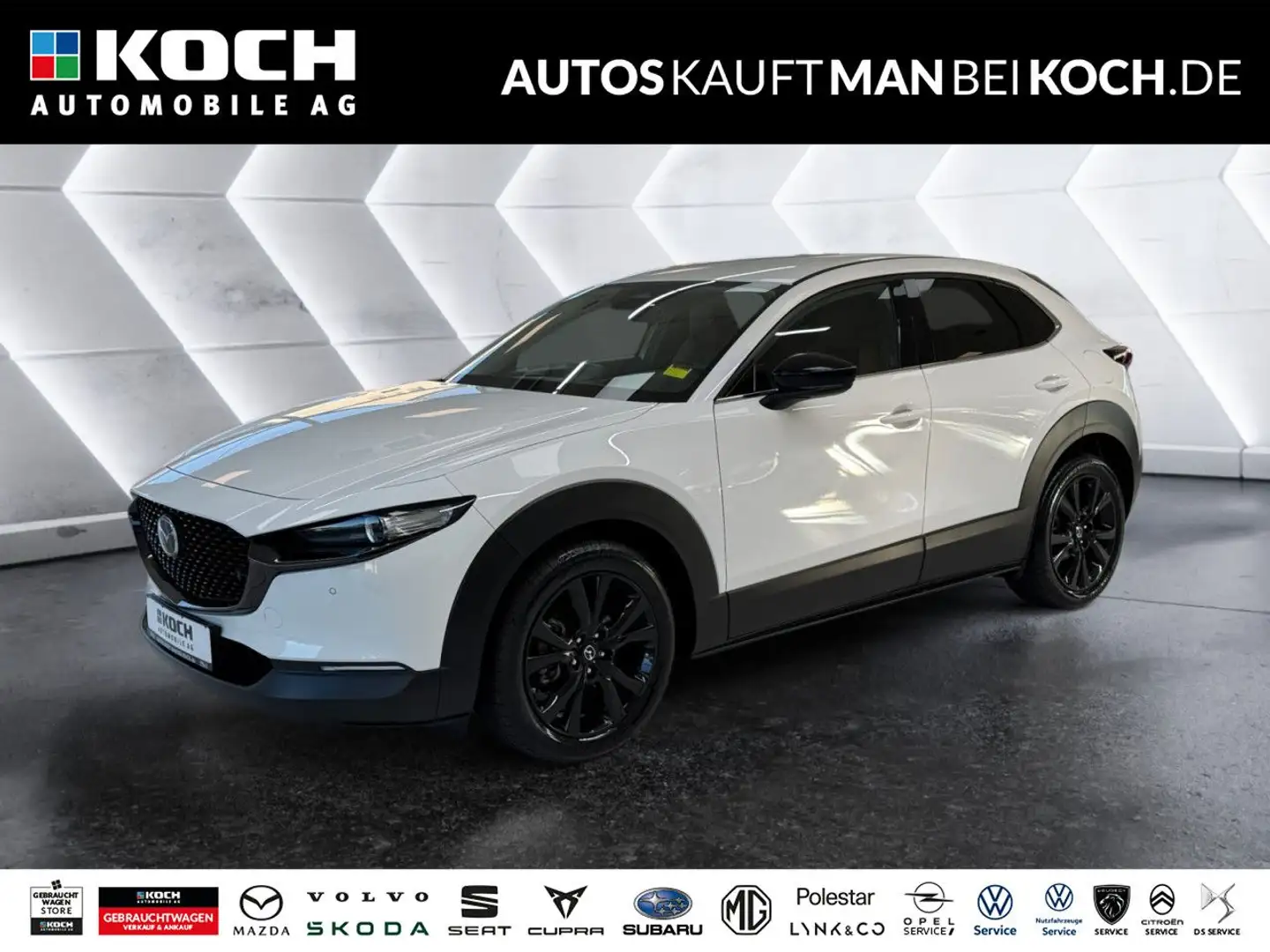 Mazda CX-30 2.5L e-SKY-G 140ps 6AT Nagisa HUD PDC SHZ NA Grau - 1