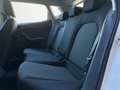 SEAT Ibiza Austria Edition Weiß - thumbnail 12
