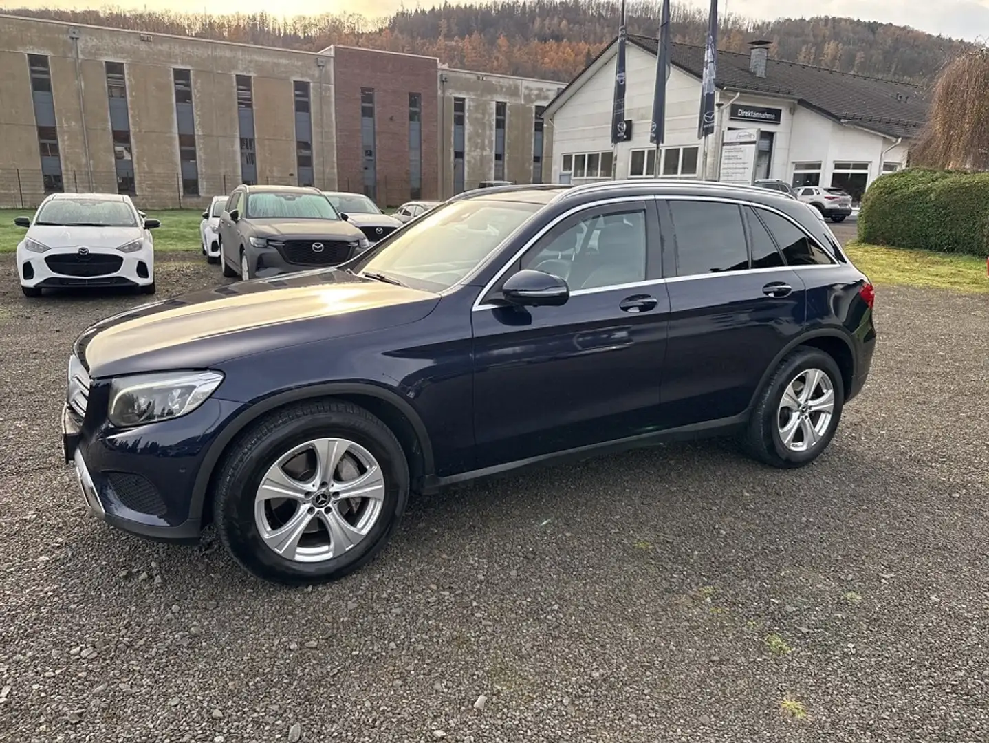 Mercedes-Benz G LC -Klasse GLC 250 4Matic Blauw - 2