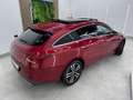 Mercedes-Benz CLA 250 Shooting Brake 250e 8G-DCT Rojo - thumbnail 7