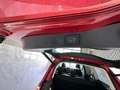 Ford Galaxy 2,0 EcoBlue SCR Titanium Aut. Anhängekupplung, ... Rot - thumbnail 20