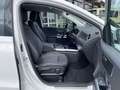 Mercedes-Benz B 180 7G Progressive R-Kamera+LED+ Winterpaket+Carplay Weiß - thumbnail 8