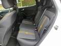 Ford Fiesta Fiesta Active 1.0 EcoBoost Active 3 (EU6.2) Blanc - thumbnail 11