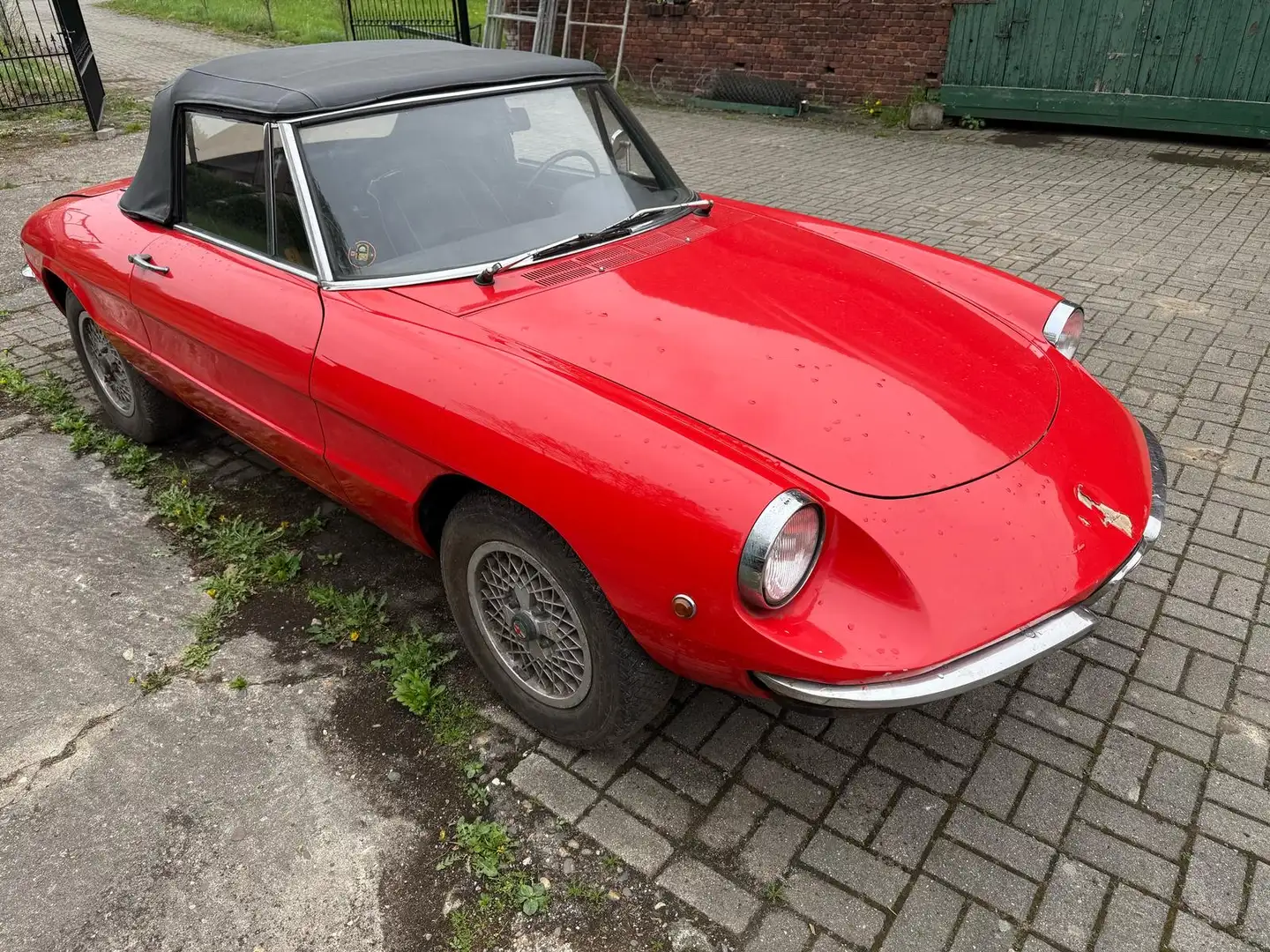 Alfa Romeo Spider Rundheck Spider 1.Serie Red - 1