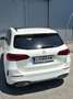 Mercedes-Benz B 220 B 220 4MATIC Aut. Weiß - thumbnail 5
