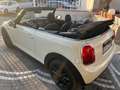 MINI Cooper Cabrio Mini Cooper Anno 2020 Cabrio 1.5 automatica - thumbnail 8