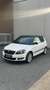 Skoda Fabia MONTE CARLO | BLICKFANG | LÜCKENLOS SCHECKHEFT Weiß - thumbnail 4