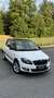 Skoda Fabia MONTE CARLO | BLICKFANG | LÜCKENLOS SCHECKHEFT Weiß - thumbnail 1