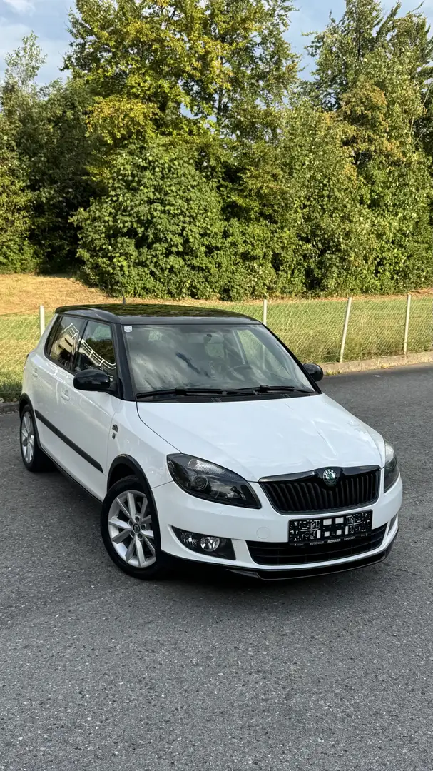 Skoda Fabia MONTE CARLO | BLICKFANG | LÜCKENLOS SCHECKHEFT Weiß - 1