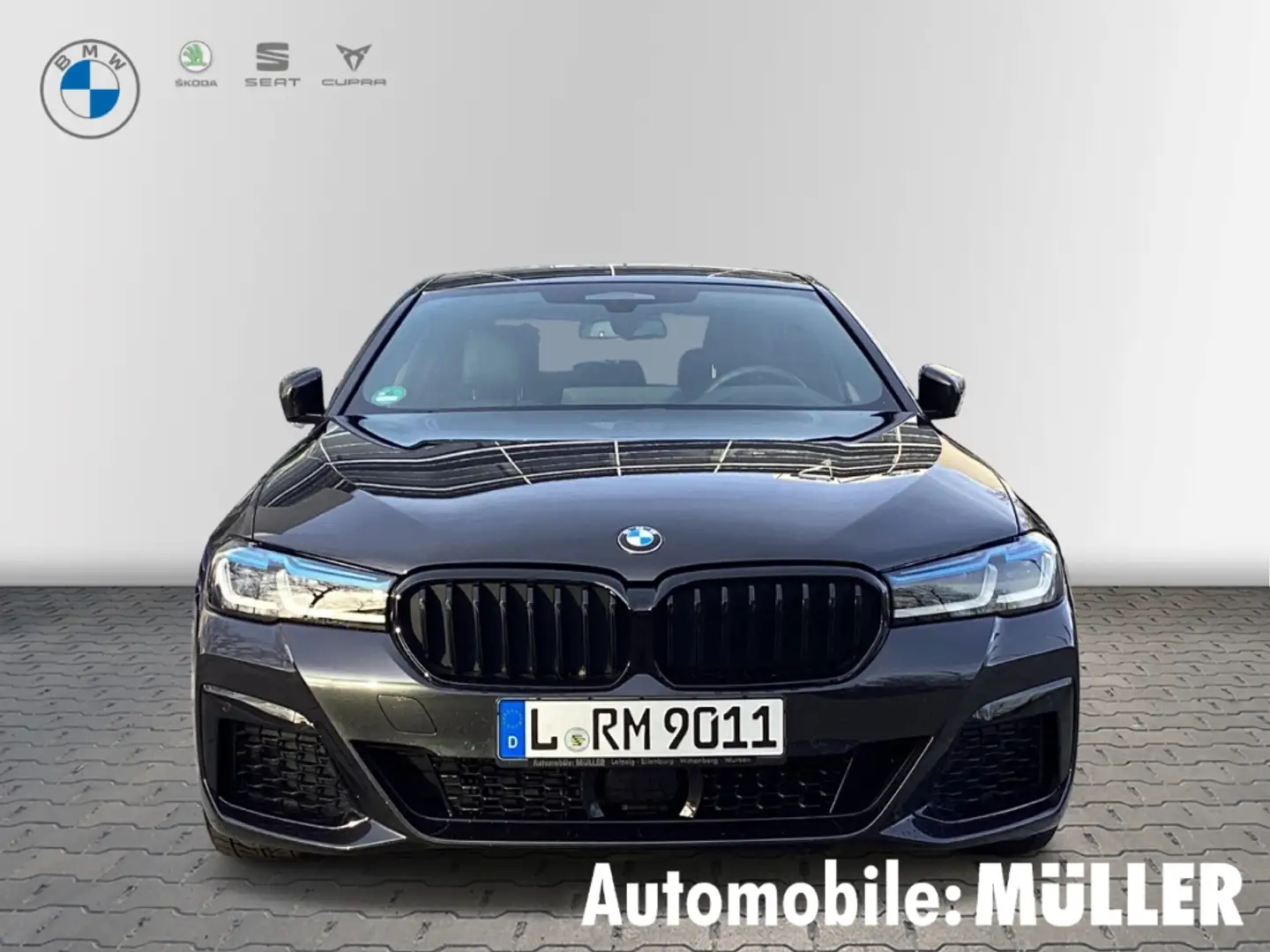 BMW 530 M Sport Pro i xDrive Park-Ass. Driv. Ass+ Sitzhzg. Grau - 2