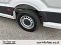 Volkswagen Crafter VW Crafter 35 T6 Kastenwagen L3H2 TDI 4MOTION Weiß - thumbnail 16