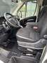 Citroen Jumper Blanc - thumbnail 12