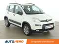 Fiat Panda 0.9 4x4 Wild *KLIMA*SHZ* Biały - thumbnail 8