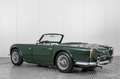 Triumph TR4 . Green - thumbnail 8