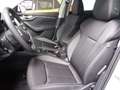 Skoda Kamiq 1.5 TSI Tour NAVI RÜCKFAHRKAMERA BEHEIZBARE WINDS Weiß - thumbnail 7