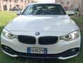 BMW 428 428i Cabrio Sport auto Bianco - thumbnail 7