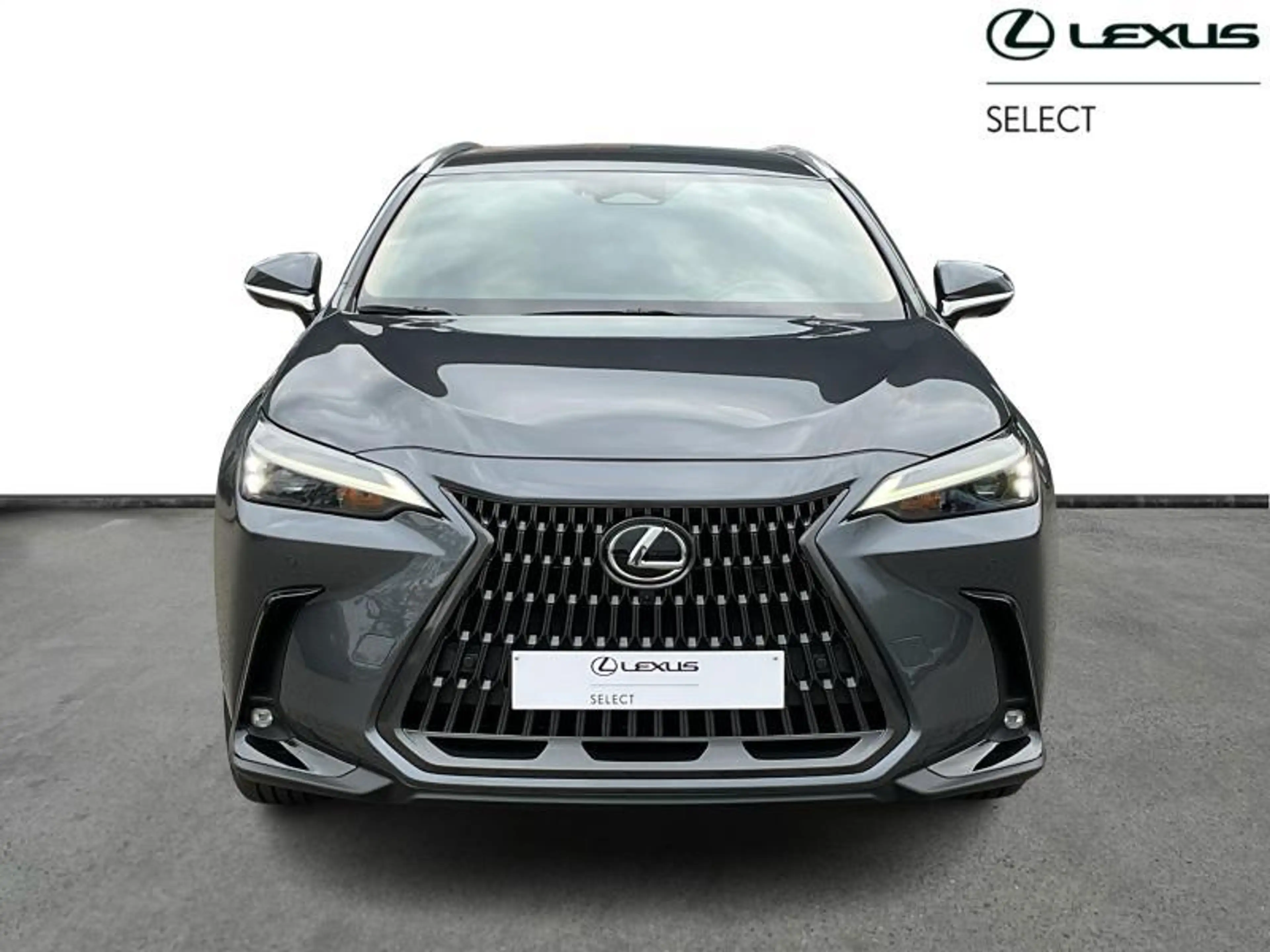 Lexus NX 350h Executive Line FWD | 360° camera — photo 4