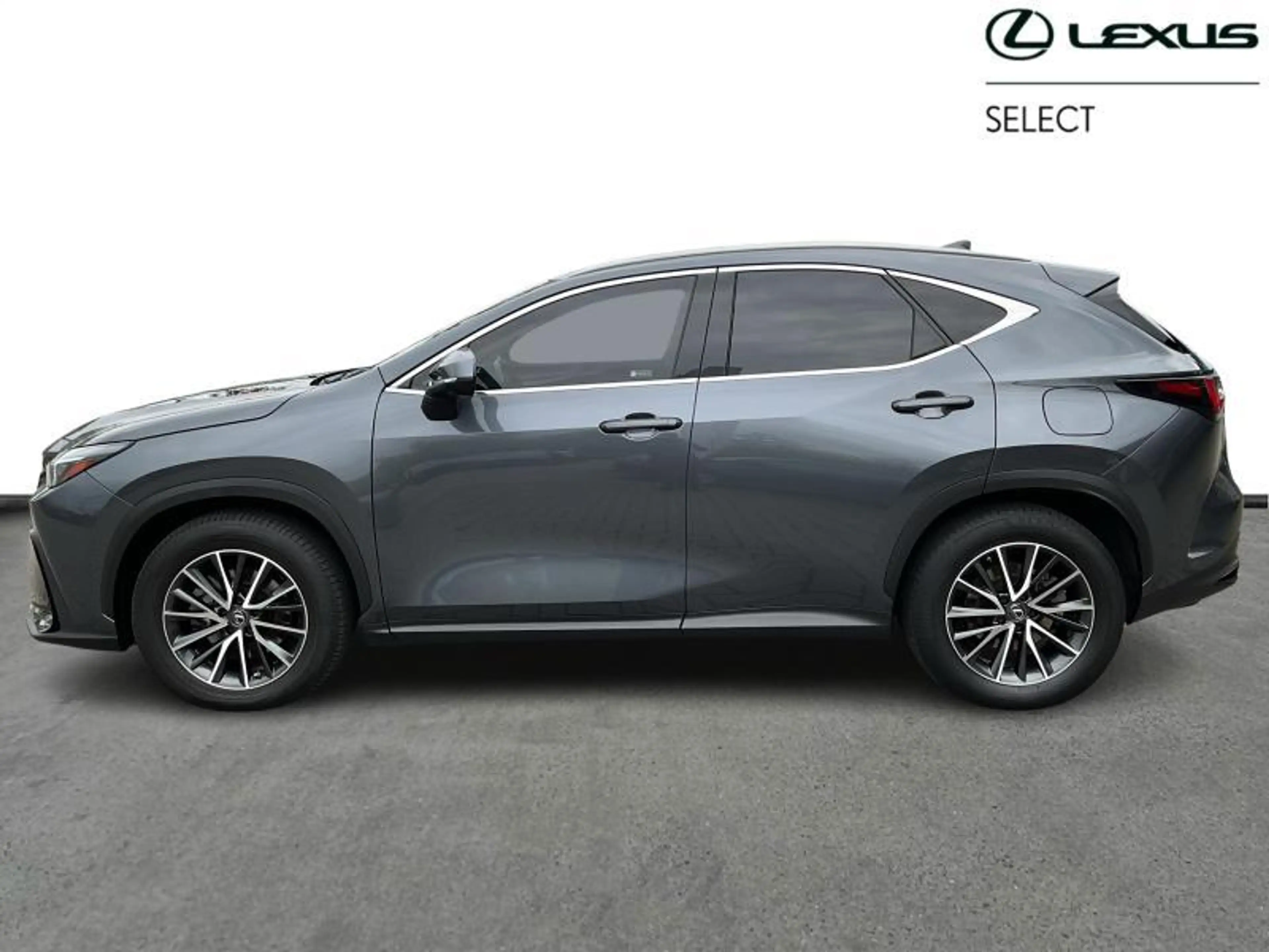 Lexus NX 350h Executive Line FWD | 360° camera — photo 2