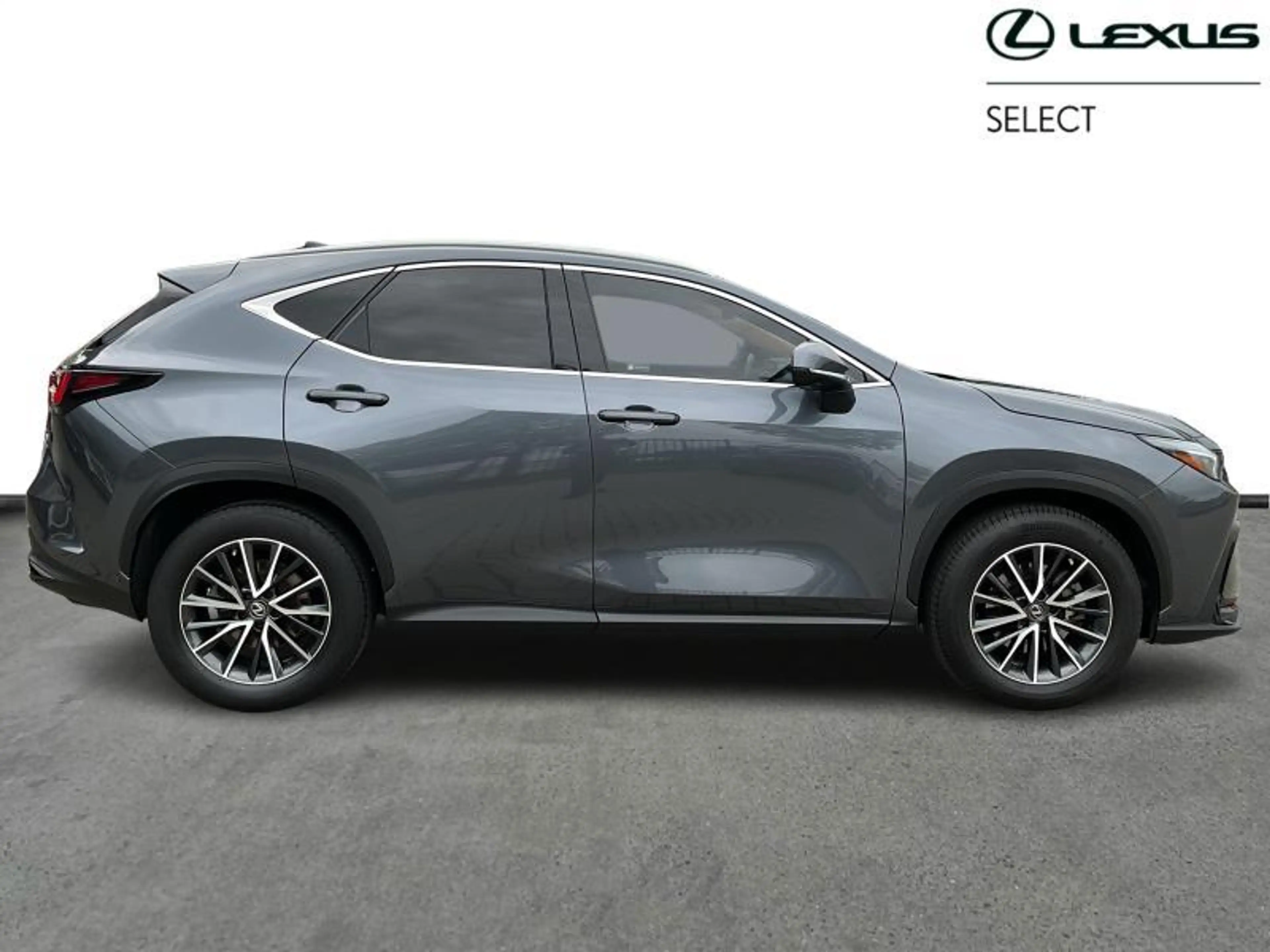 Lexus NX 350h Executive Line FWD | 360° camera — photo 14